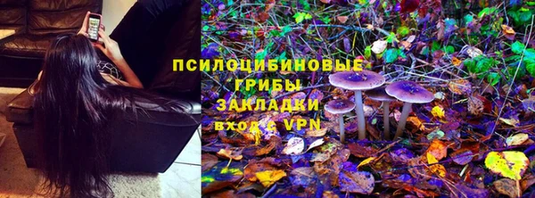 apvp Армянск