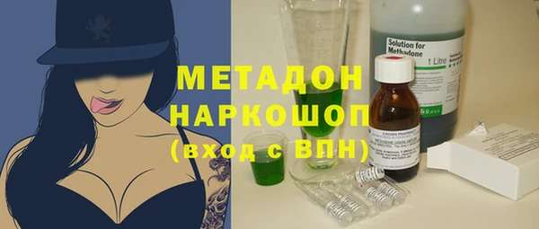индика Арсеньев