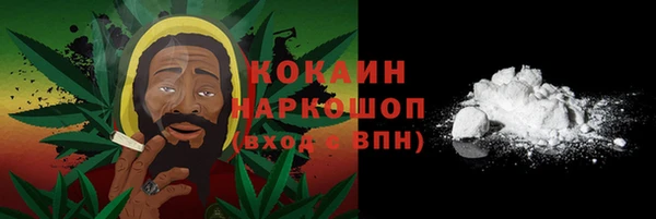 индика Арсеньев