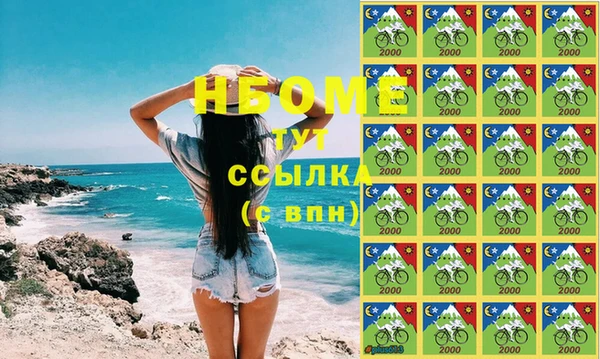 индика Арсеньев