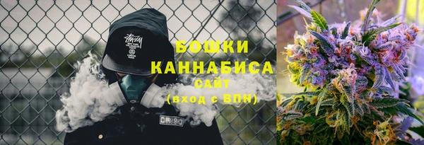 дживик Аркадак