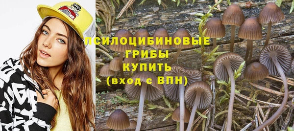 спиды Балахна