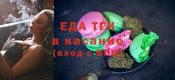 индика Арсеньев